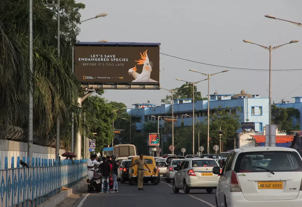 Outdoor hoarding in Esplanade, Kolkata attracting large audience